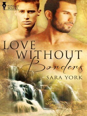 cover image of Love Without Borders